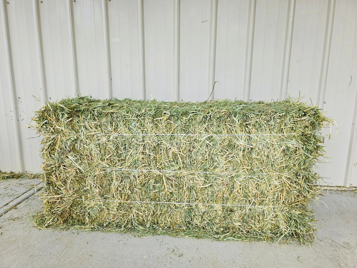 1st Cut Timothy 3 String