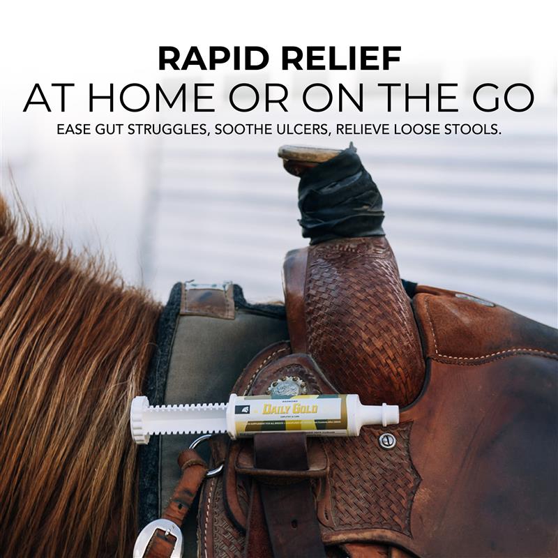 Daily Gold® Paste - Digestive Stress Relief For Horses 70cc
