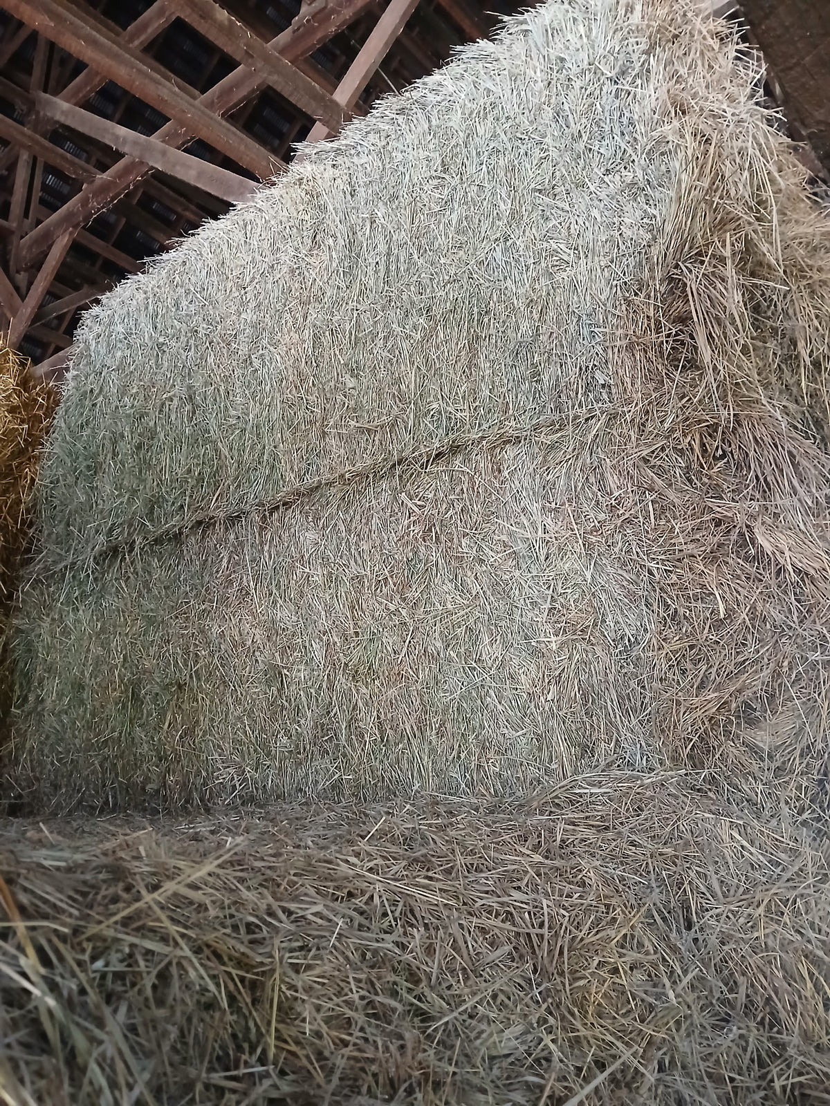 3x4x8 Alfalfa Orchard Big Bales