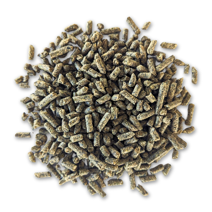 Blue Bonnet Limited Allergy Friendly