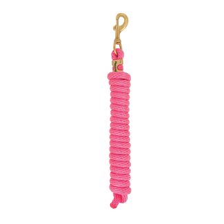Weaver 10 Ft Nylon Lead