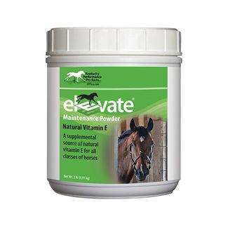 Kentucky Performance Products Elevate E Maintenance Powder 2 lbs