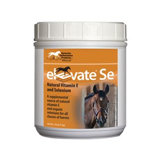 Kentucky Performance Products Elevate SE Maintenance Powder 2 lbs