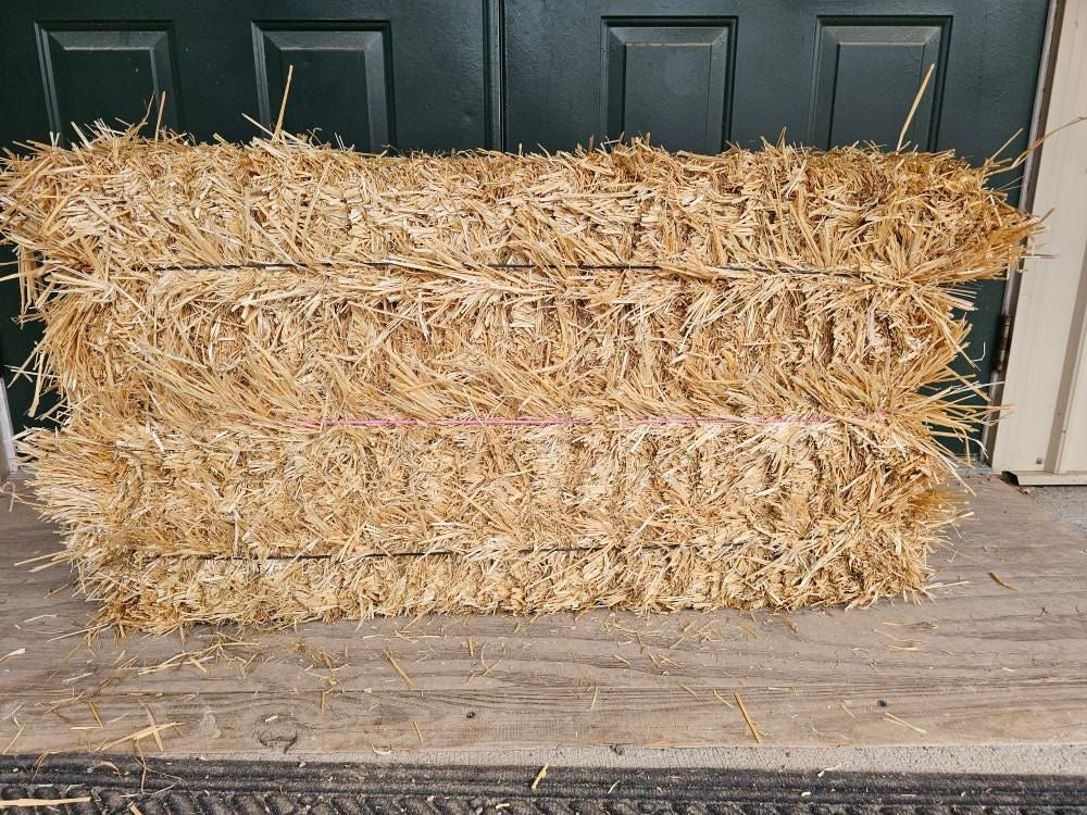 3 String Straw