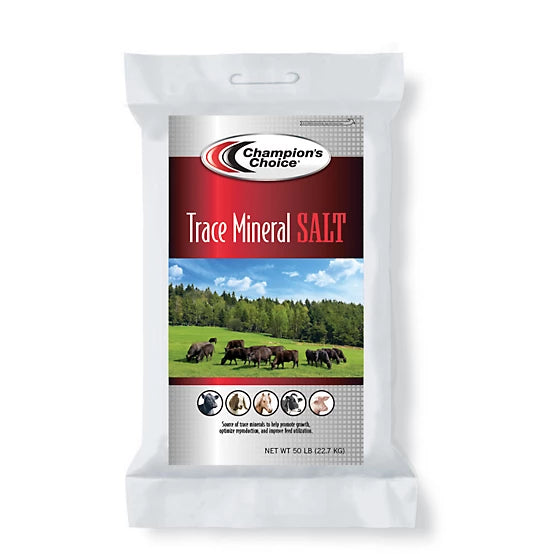 Champion's Choice Trace Mineral Salt Bag - 50lb