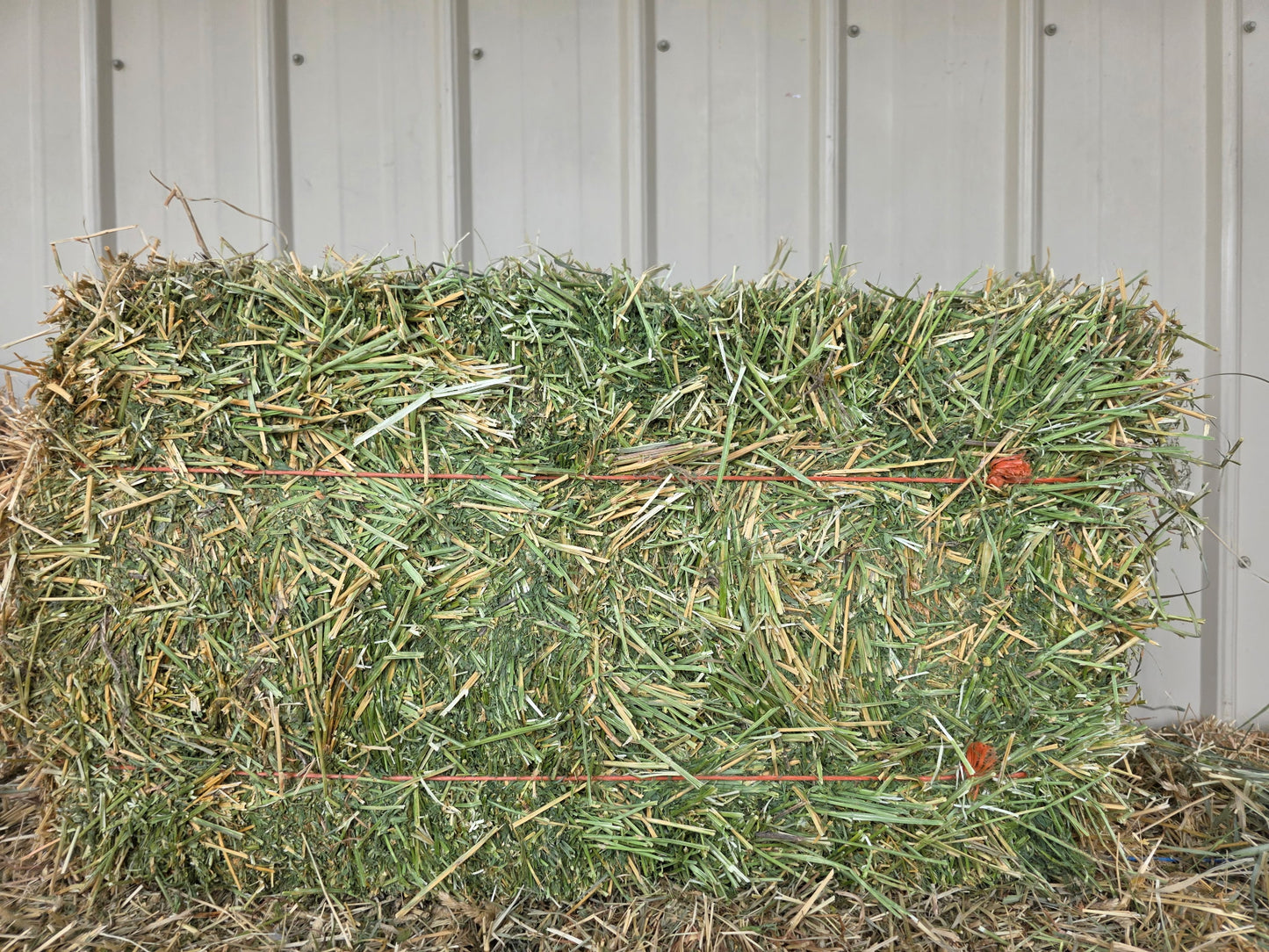 Premium Alfalfa 2 String