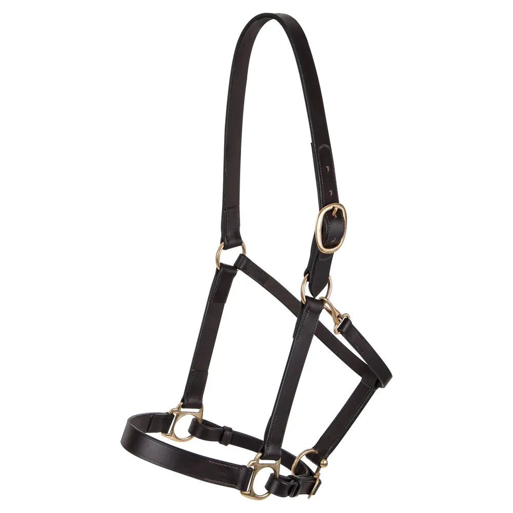 Premier Lancaster Leather Halter