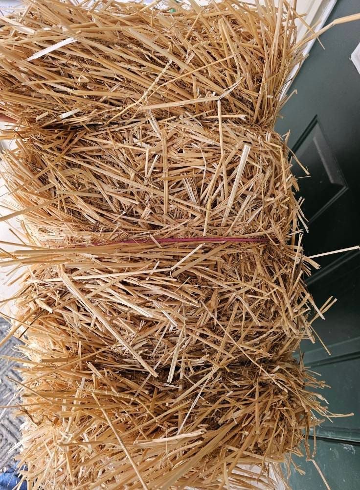 3 String Straw