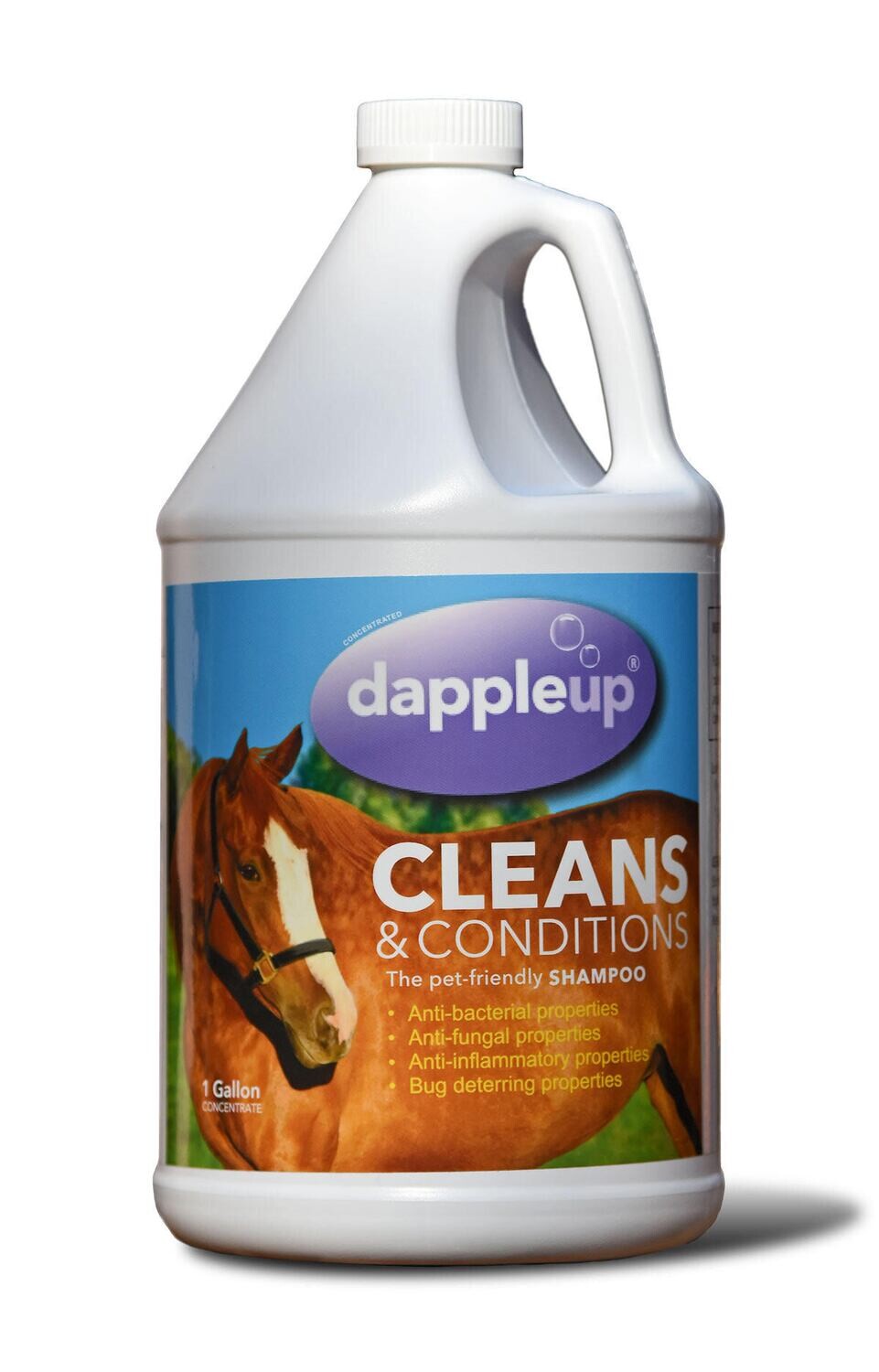 Gallon Dapple Up Equine