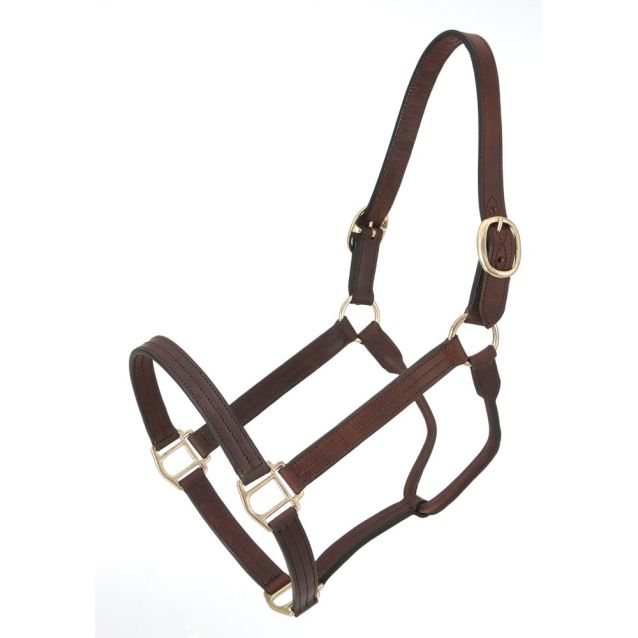 Royal King Leather Track Halter - Horse