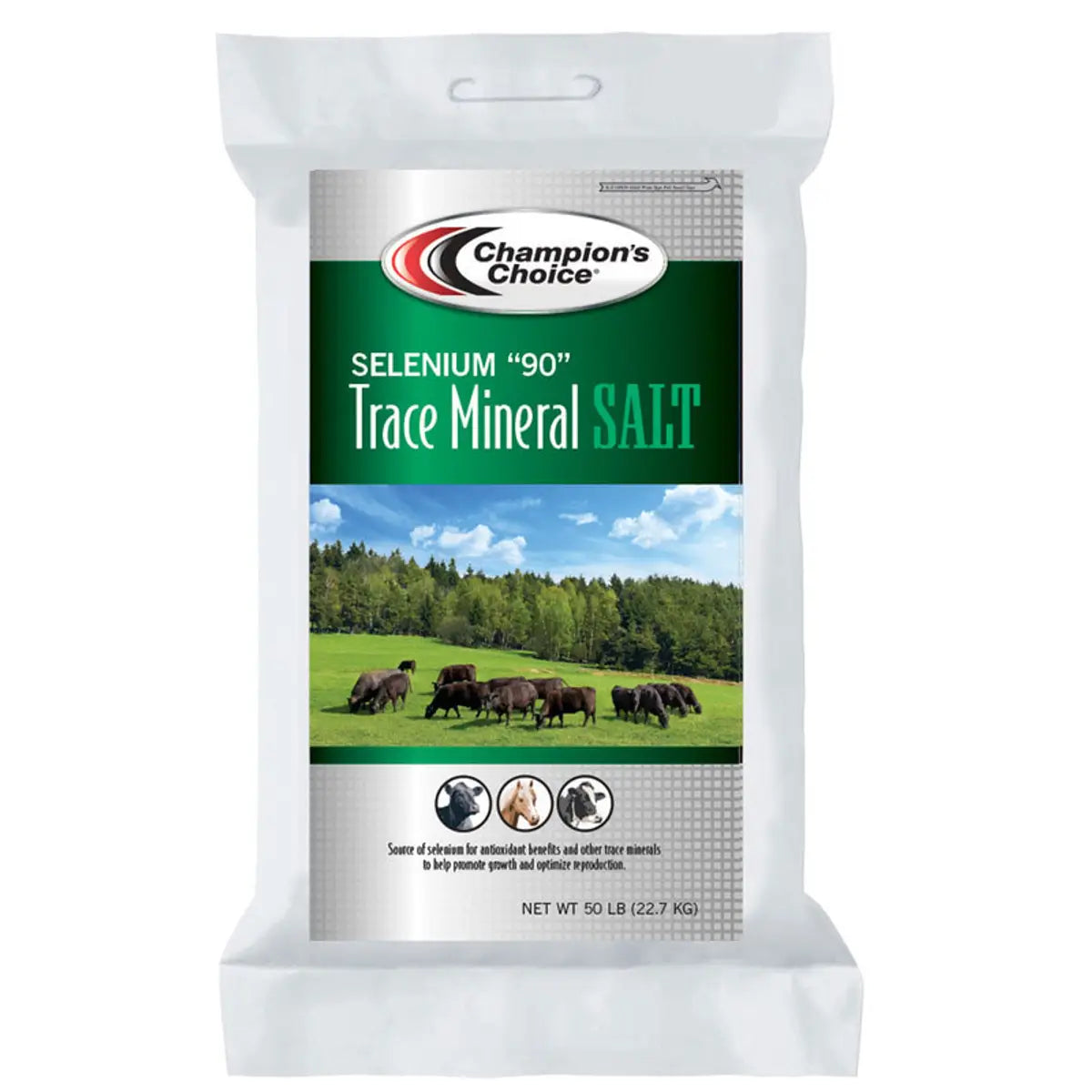 Champion's Choice Trace Mineral Salt Bag - Selenium 90