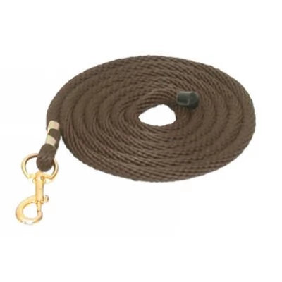 Gatsby 8ft Nylon Lead with Snap