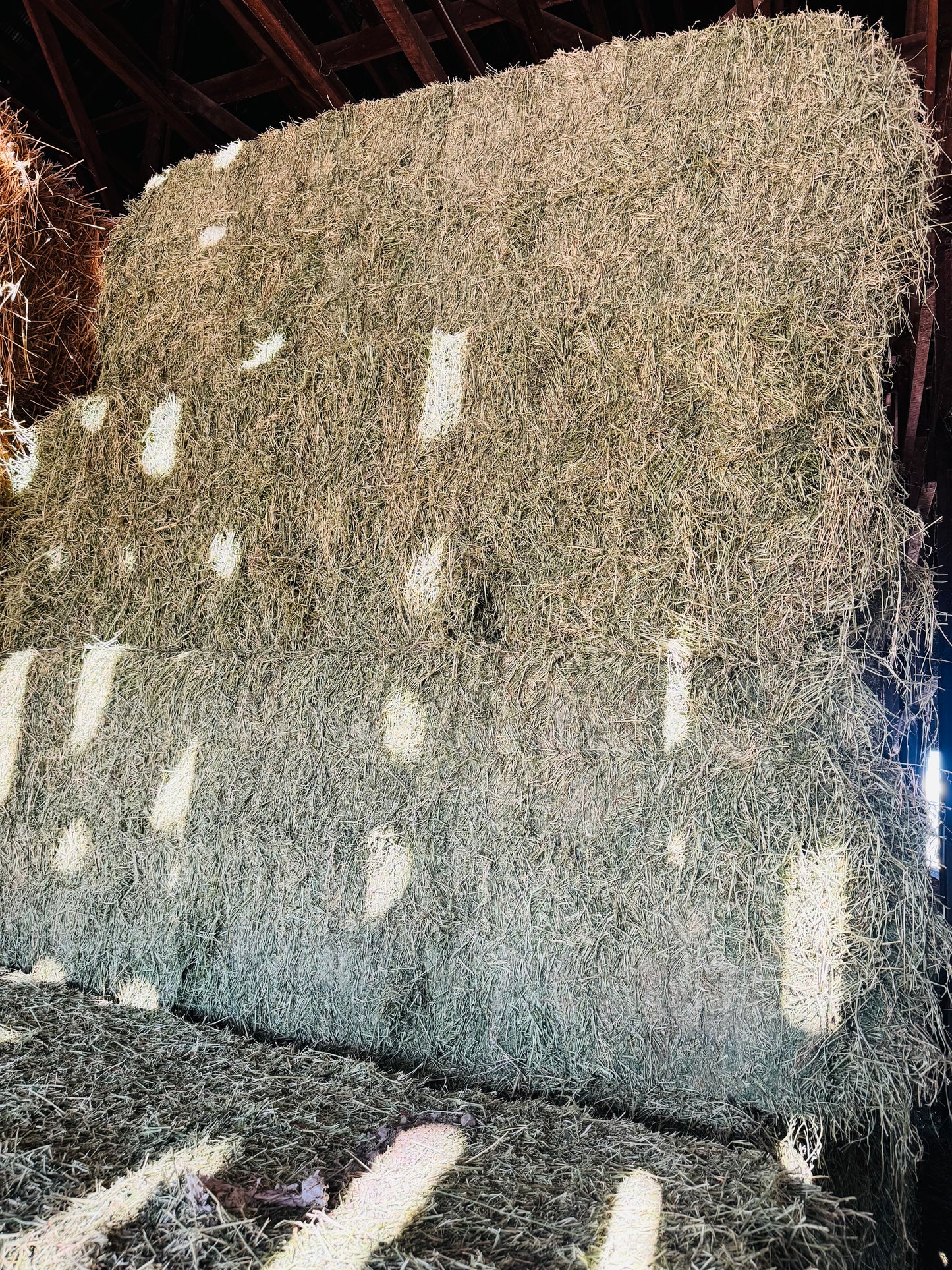 3x3x8 Alfalfa Big Bales