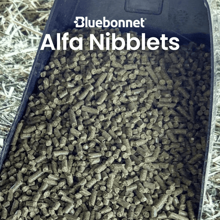 Blue Bonnet Alfa Nibblets Pelleted Forage