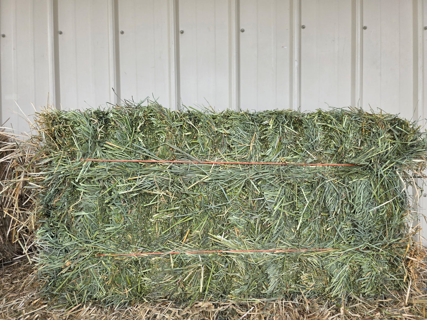 Premium Alfalfa Orchard Grass 2 String