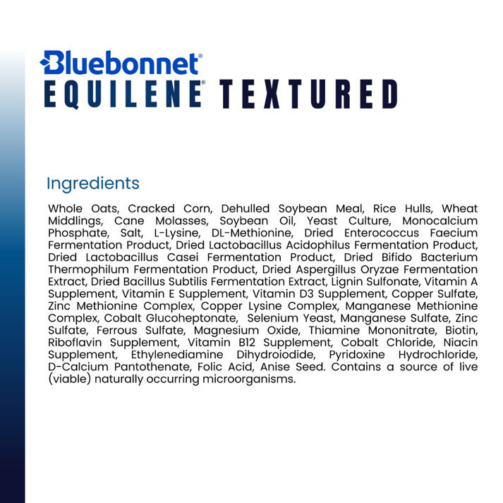 Blue Bonnet Equilene® Textured