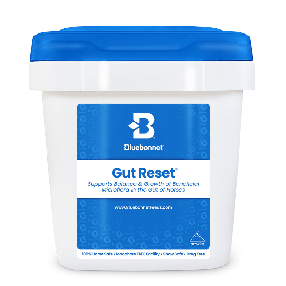 Blue Bonnet Gut Reset Powder 5lbs (ADR)