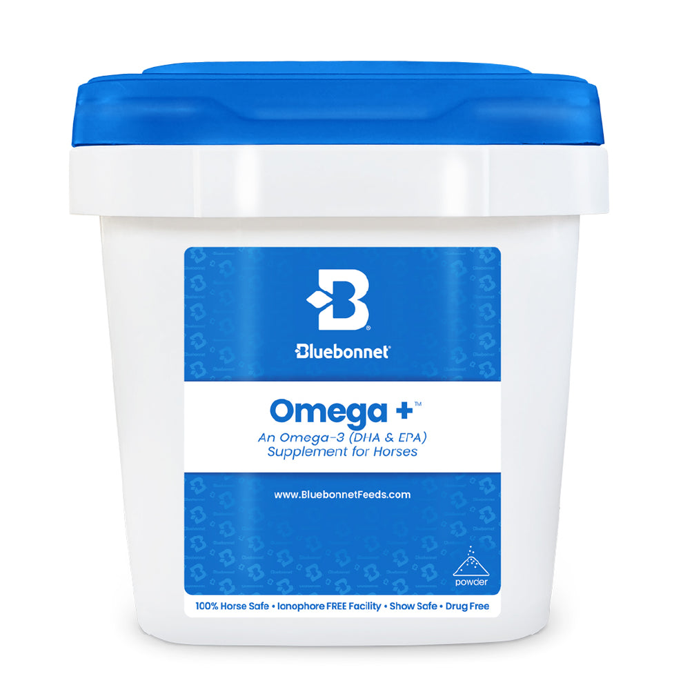 Omega +™ (Fish Oil Factor)