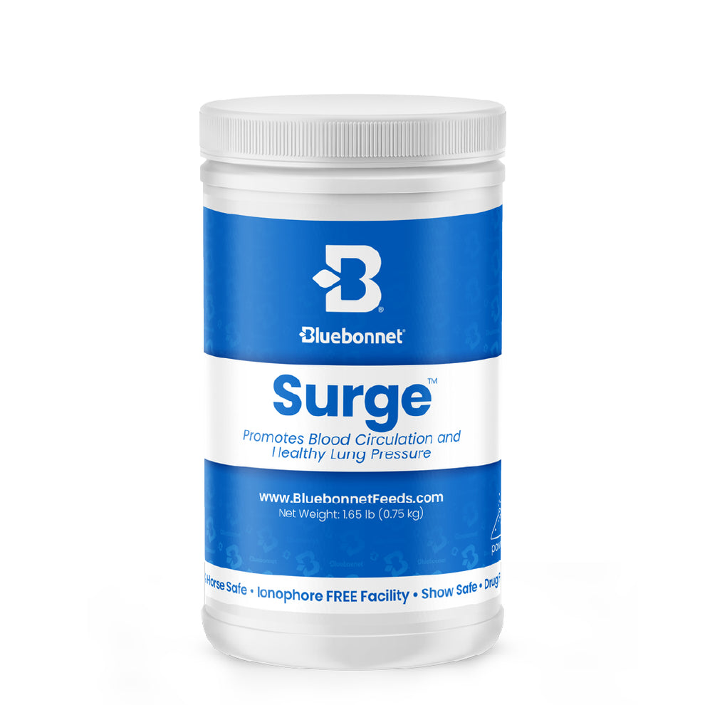 Surge™ Powder 1.5lbs 15-30day supply