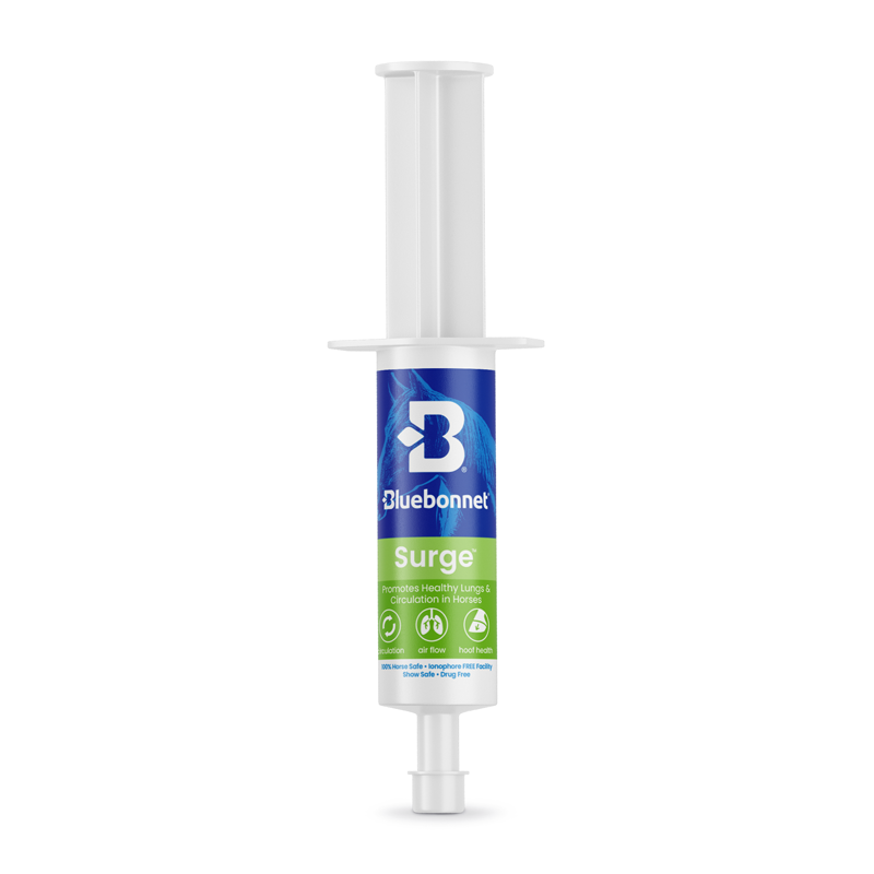 Blue Bonnet Surge paste