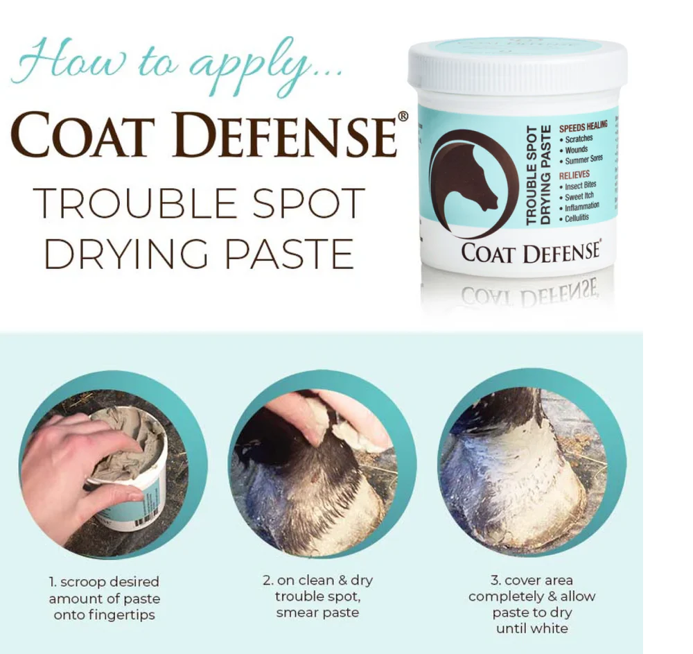 Coat Defense Trouble Spot Drying Paste 24oz