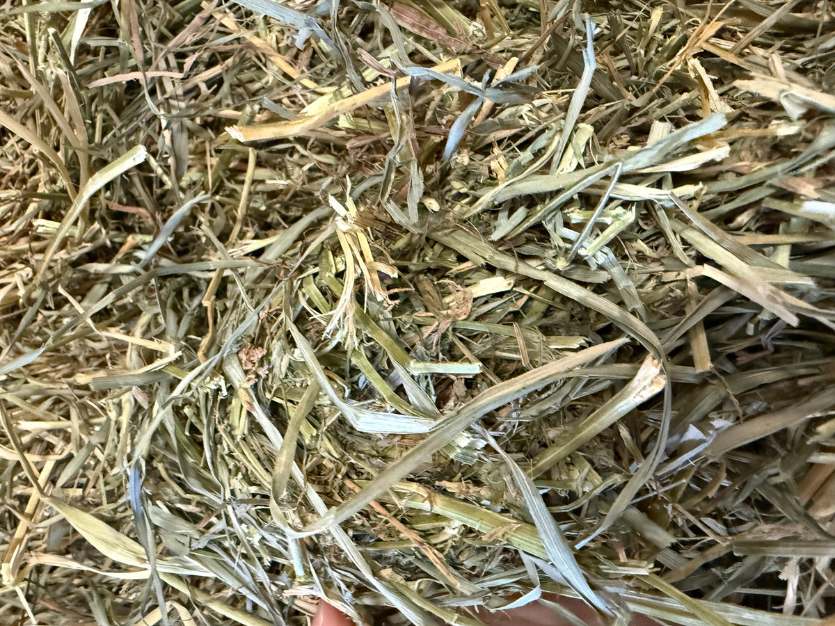 2 String Ohio Alfalfa Orchard