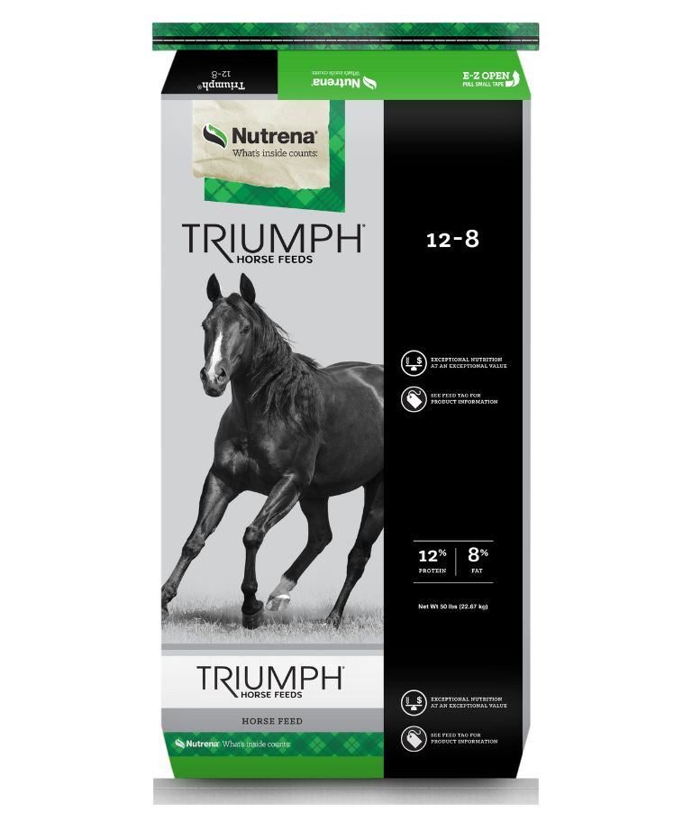 Triumph 12/8