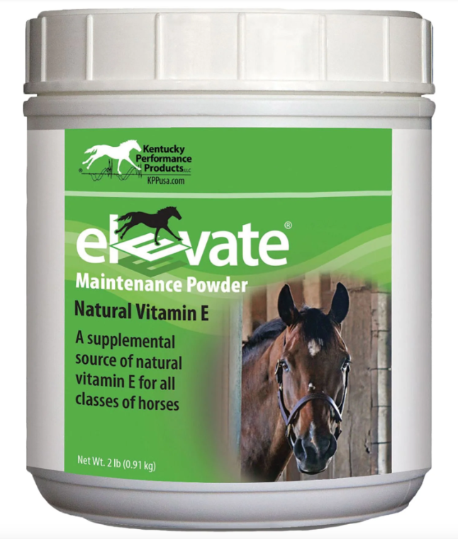 Kentucky Performance Products Elevate E Maintenance Powder 2 lbs