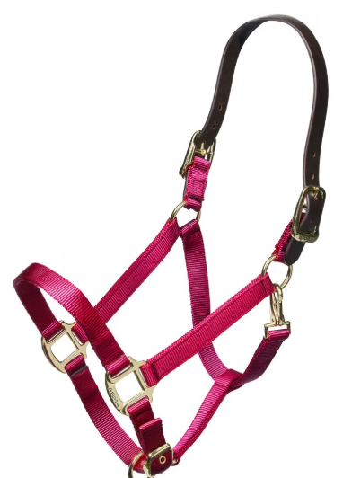 Nylon Halter With Leather Head Strap