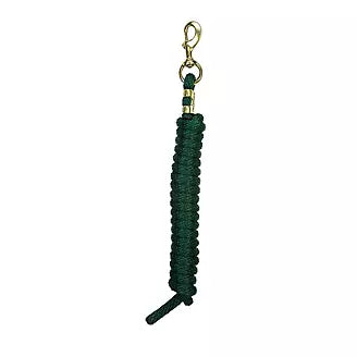 Weaver 10 Ft Nylon Lead
