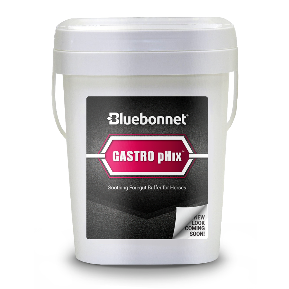 Gastro Phix 11lb