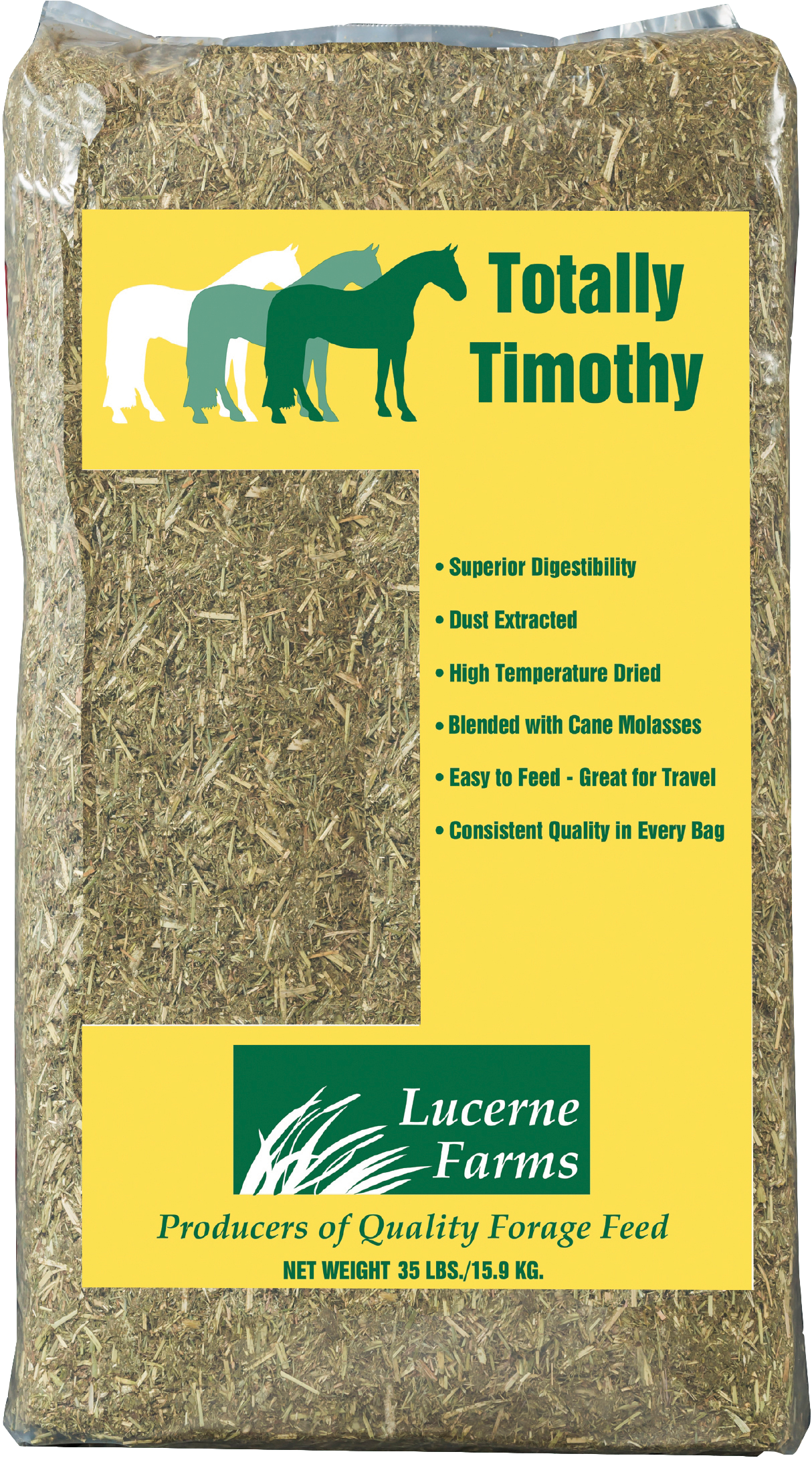 TOTALLY TIMOTHY