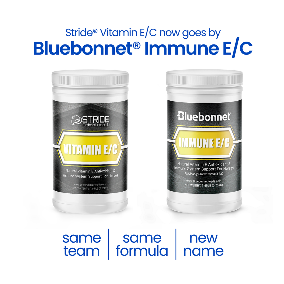 Immune E/C (Vitamin E/C)