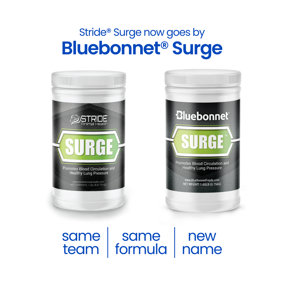 Surge™ Powder 1.5lbs 15-30day supply