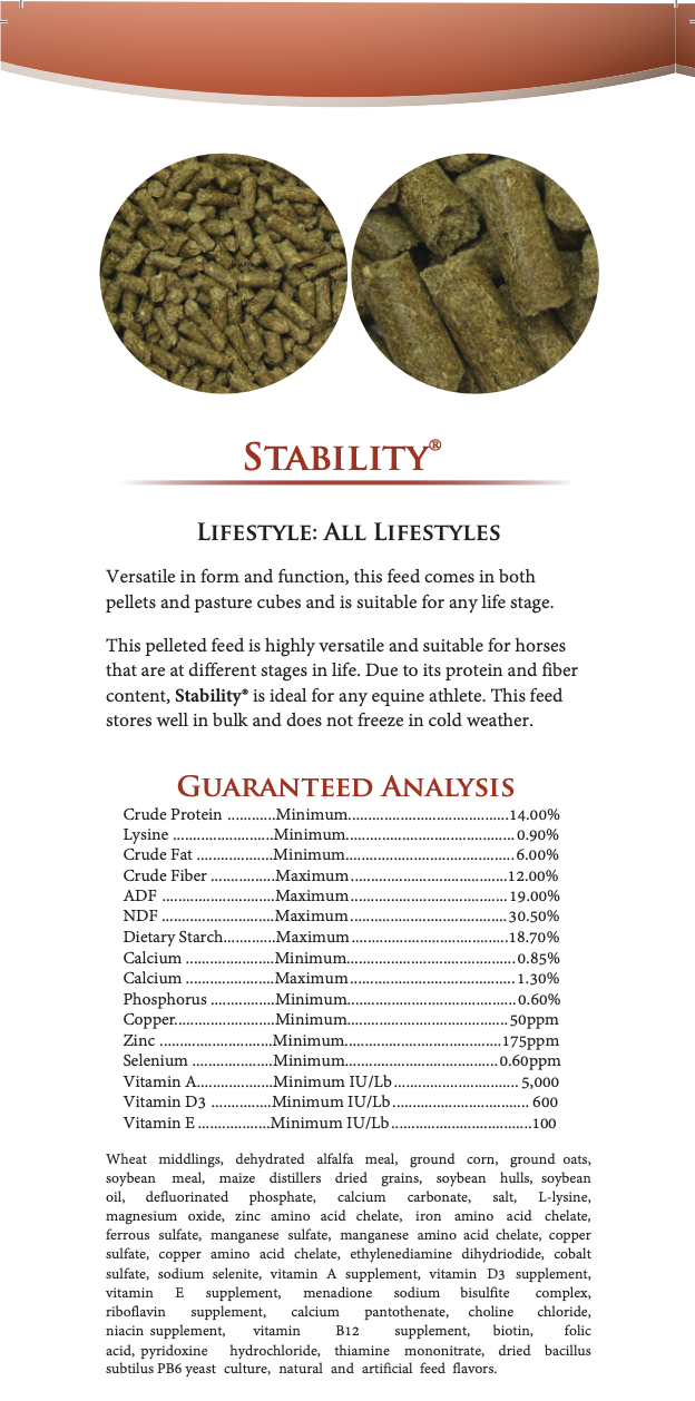 Excel Equine Stability Cube