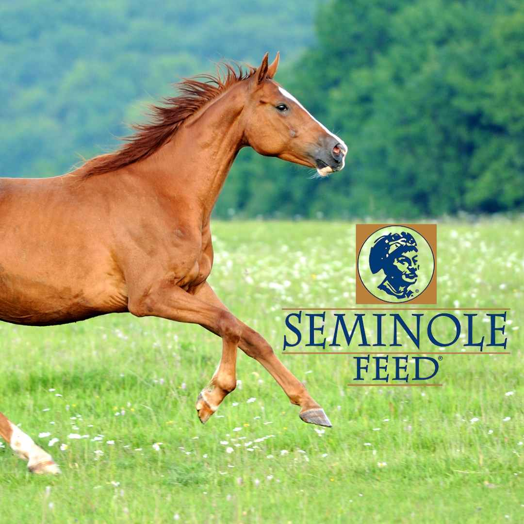 Seminole Feeds