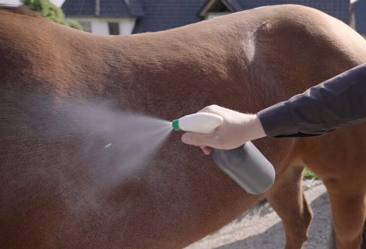 Fly Spray & Equipment