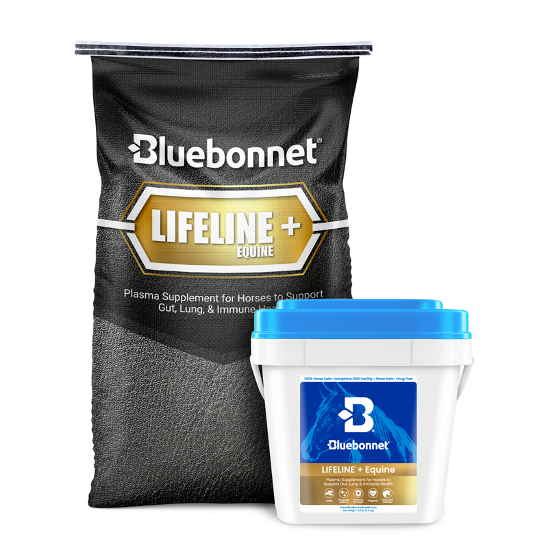 V2 - Bluebonnet Feed