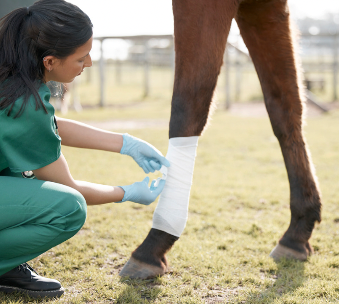 Bandaging