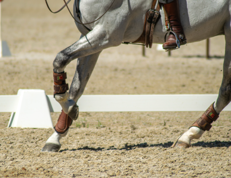 Bell Boots & Leg Protection