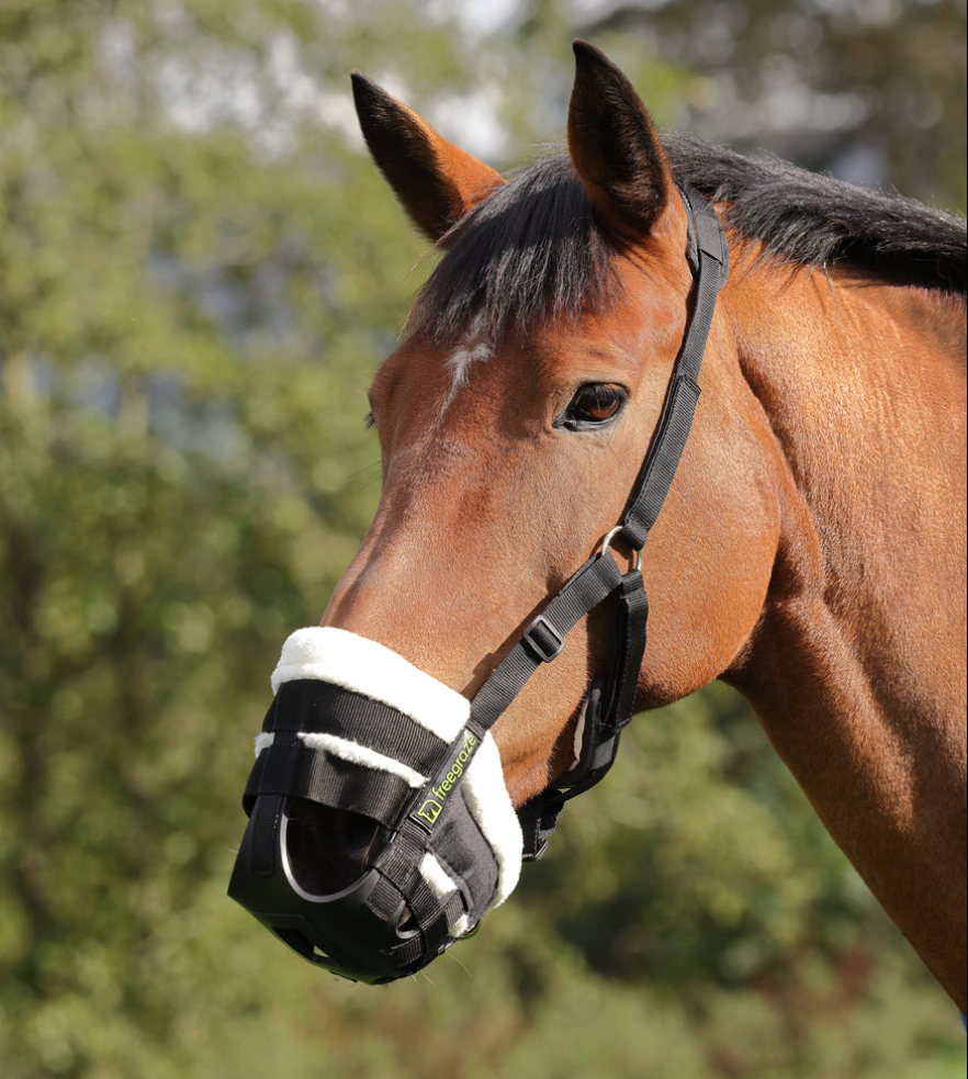Muzzles