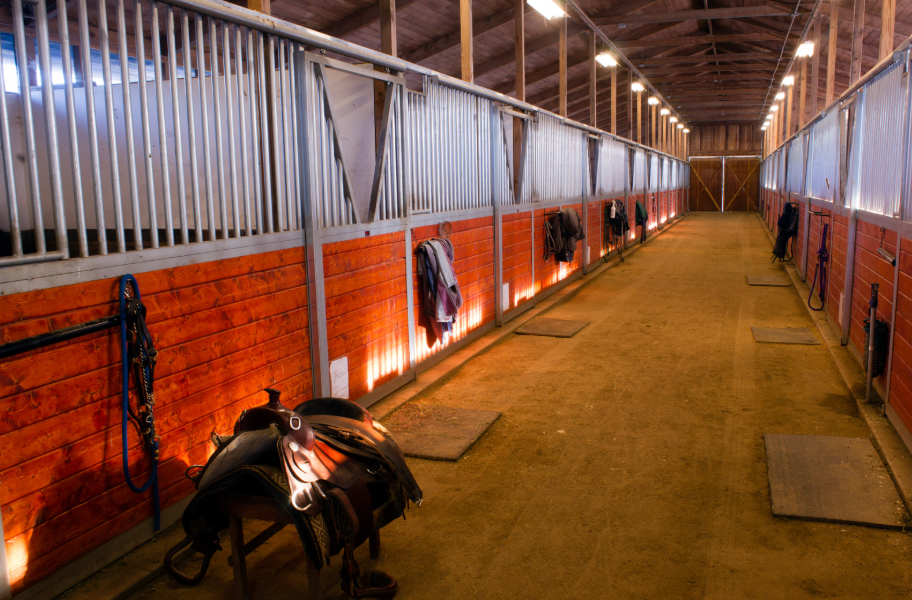 Stall Equipment