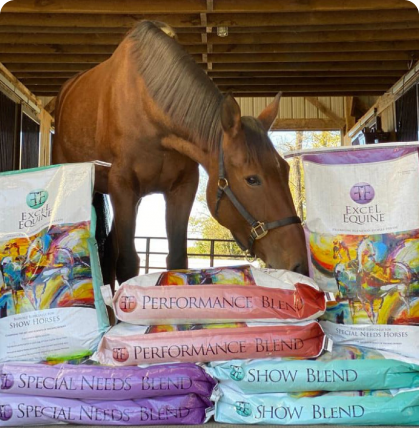 FEEDS Hymer Feed Company