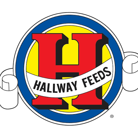 Hallway Feeds