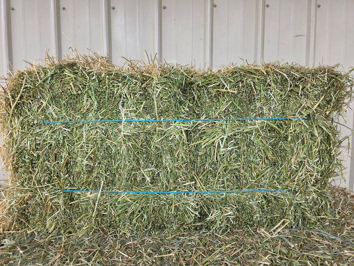 Timothy Orchard Alfalfa Mix 2 String