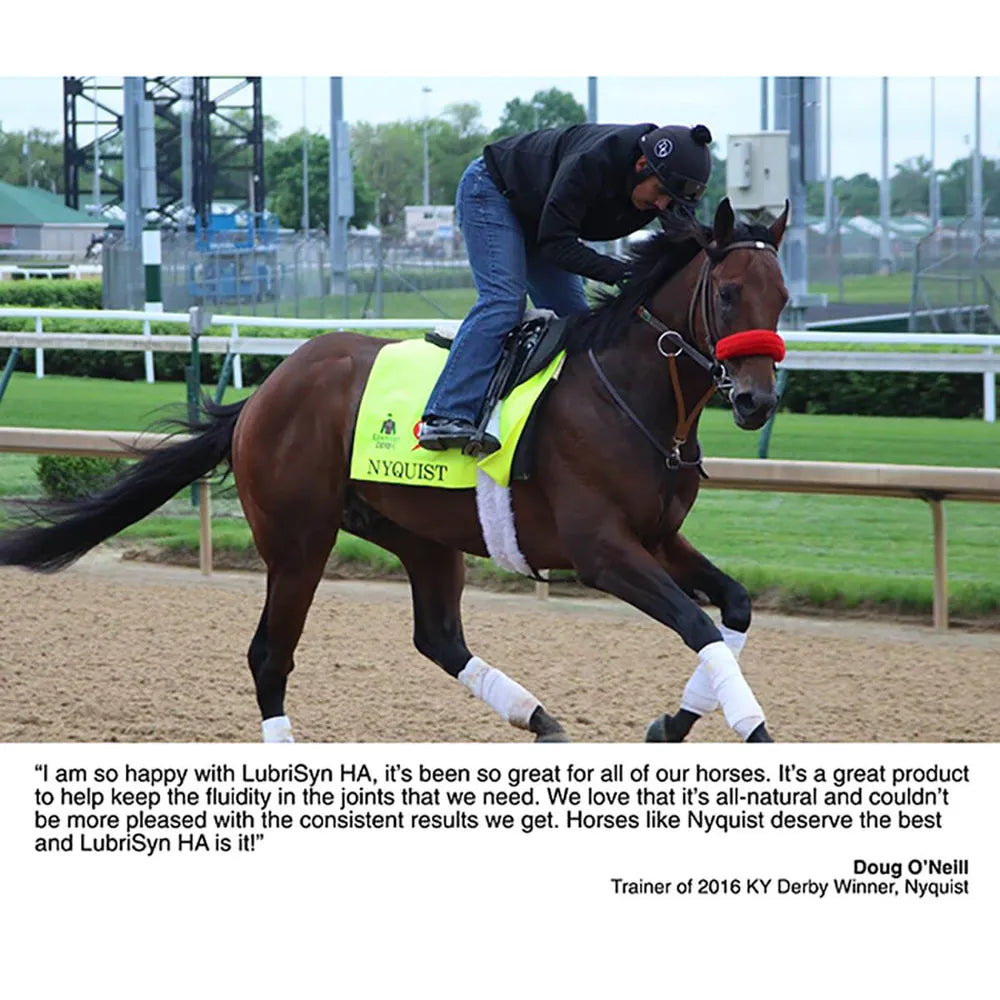 LubriSyn HA 1Qt