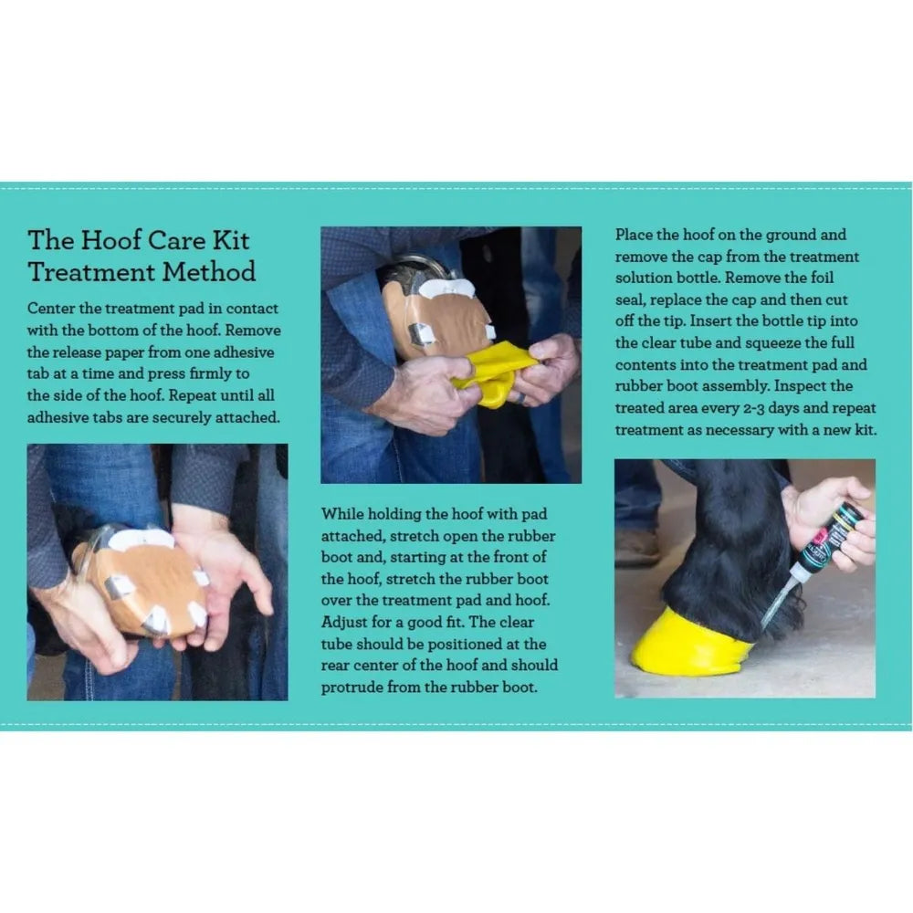 Curicyn Hoof Care Kit