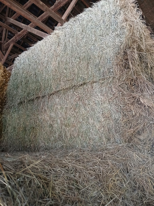 3x4x8 Alfalfa Orchard Big Bales
