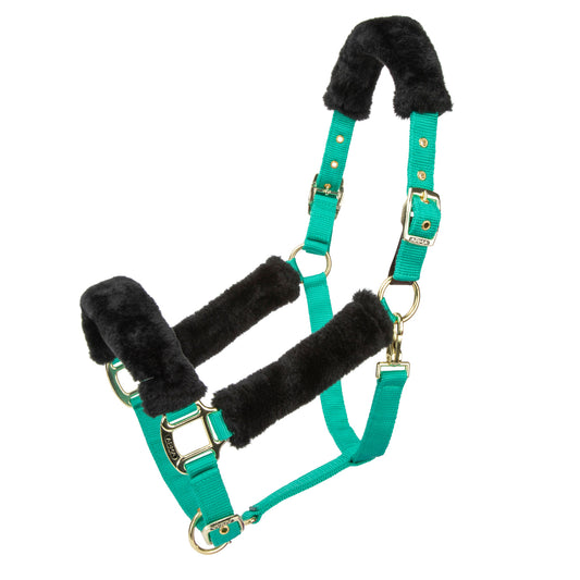 ARMA Fleece Headcollar- 10501 Teal
