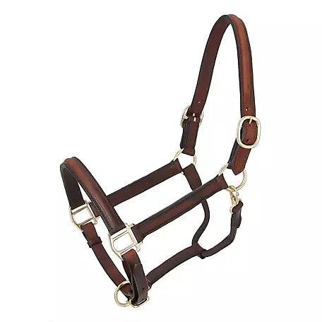 Tough 1 Churchill Stable Halter with Snap